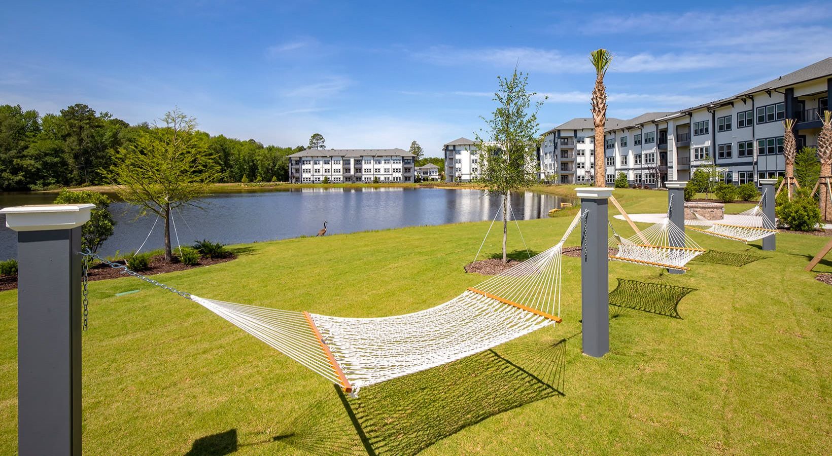 Scenic view of a serene lake with hammocks on a lush green lawn, surrounded by modern apartments and trees under a clear blue sky.